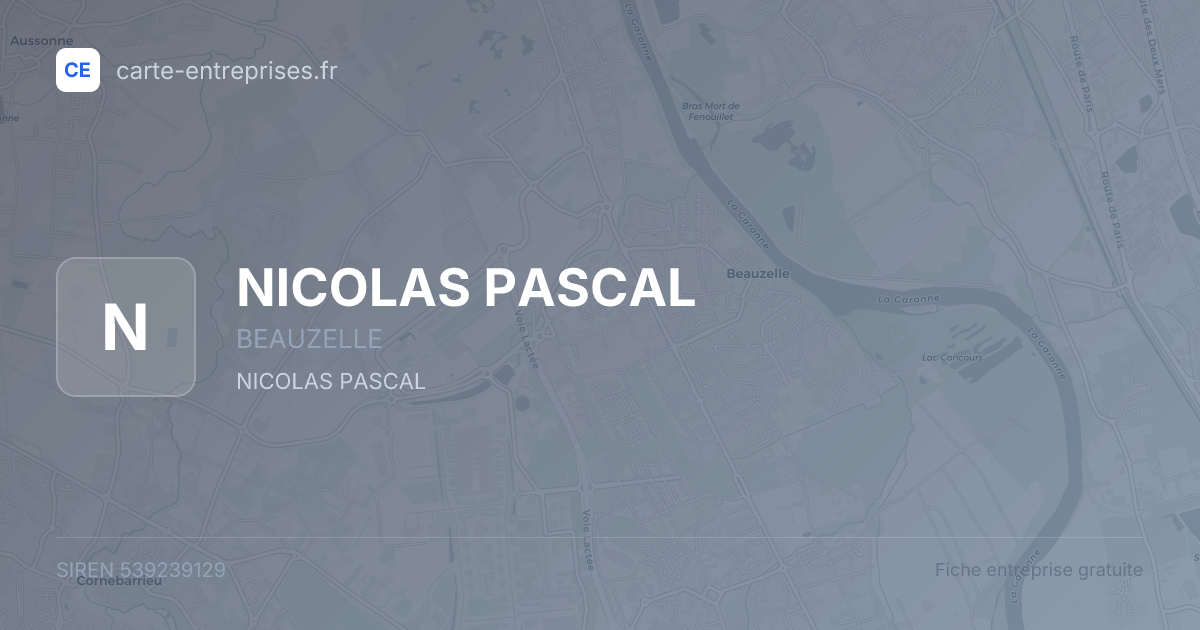 NICOLAS PASCAL — 539239129 — fiche entreprise