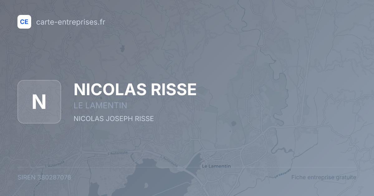 NICOLAS RISSE — 380287078 — fiche entreprise