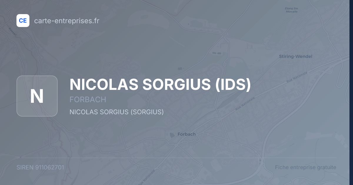 NICOLAS SORGIUS (IDS) — 911062701 — fiche entreprise