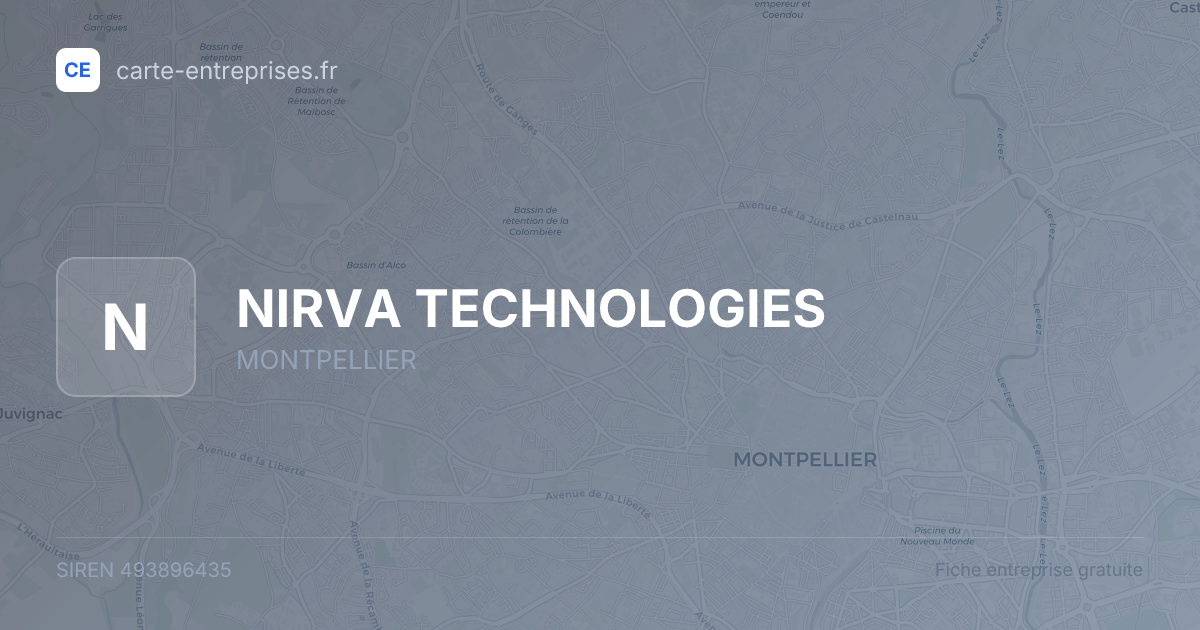 NIRVA TECHNOLOGIES — 493896435 — fiche entreprise