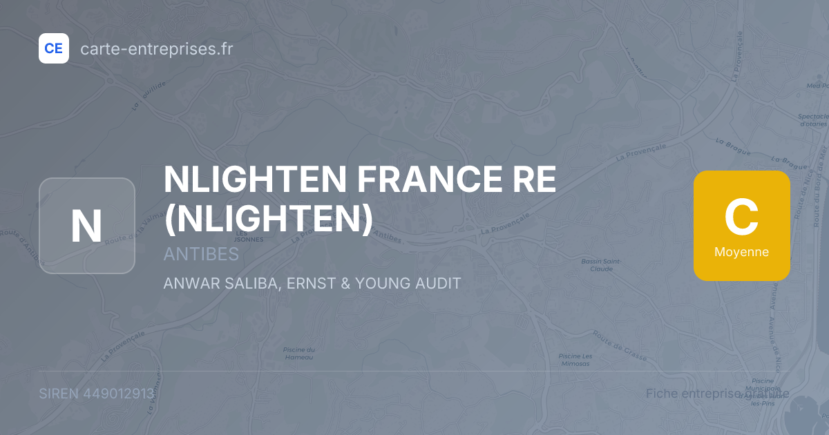 NLIGHTEN FRANCE RE (NLIGHTEN) — 449012913 — fiche entreprise