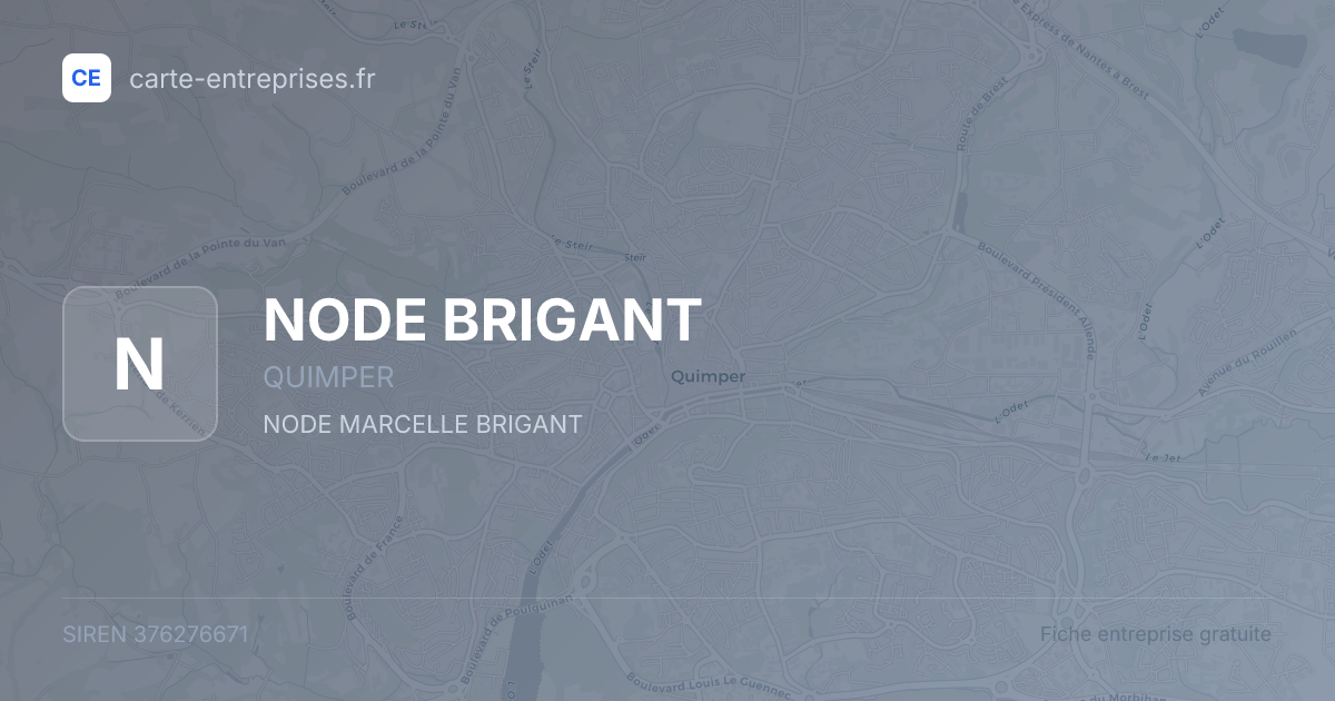 NODE BRIGANT — 376276671 — fiche entreprise