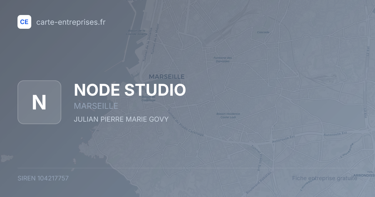 NODE STUDIO — 104217757 — fiche entreprise