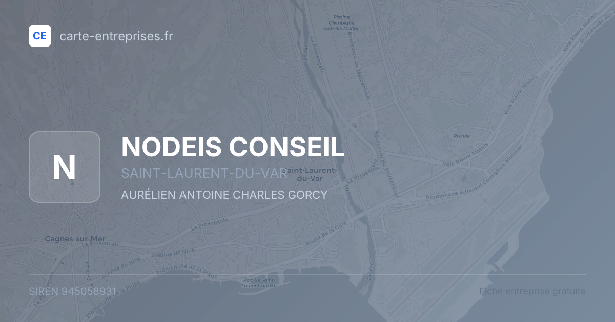 NODEIS CONSEIL — 945058931 — fiche entreprise