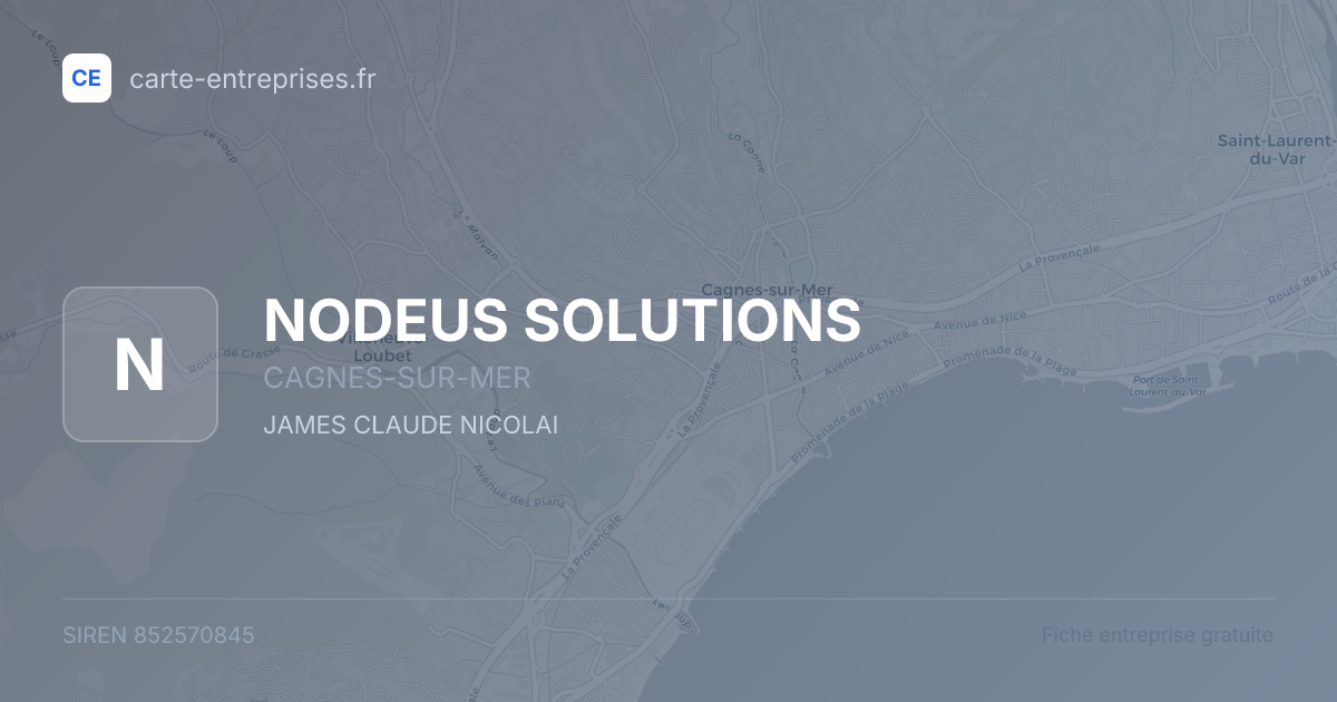NODEUS SOLUTIONS — 852570845 — fiche entreprise