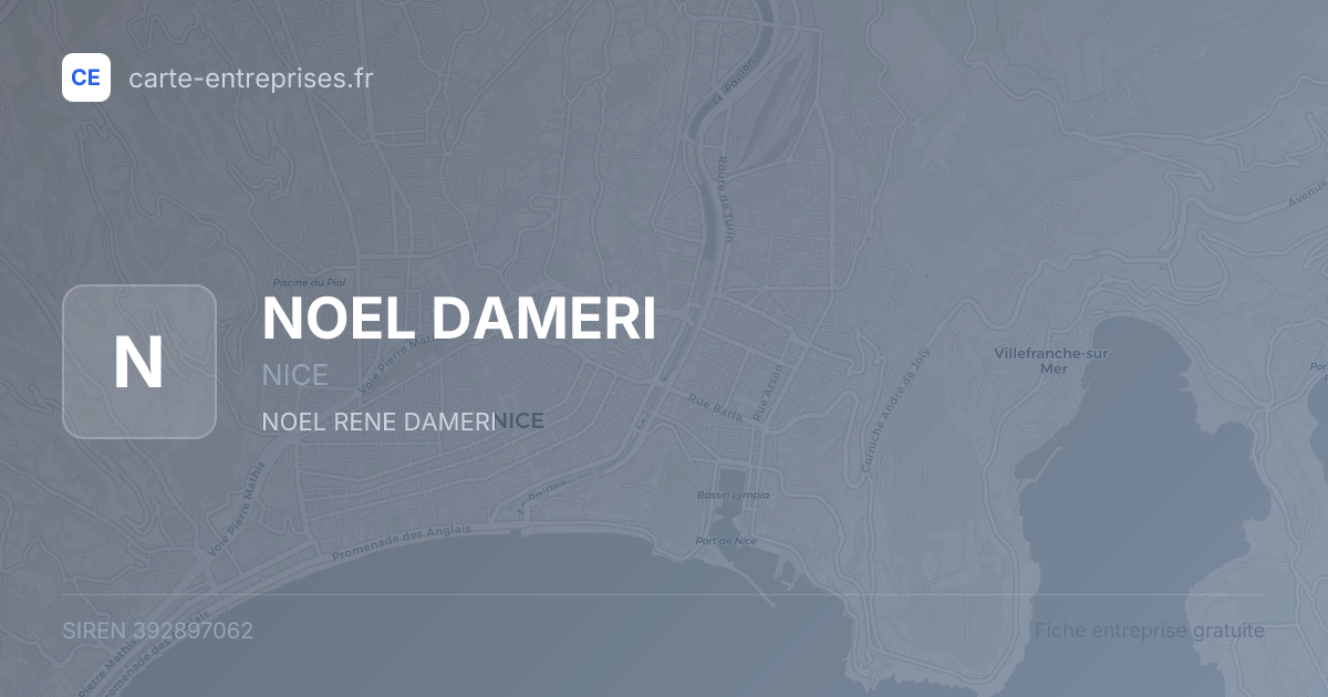 NOEL DAMERI — 392897062 — fiche entreprise