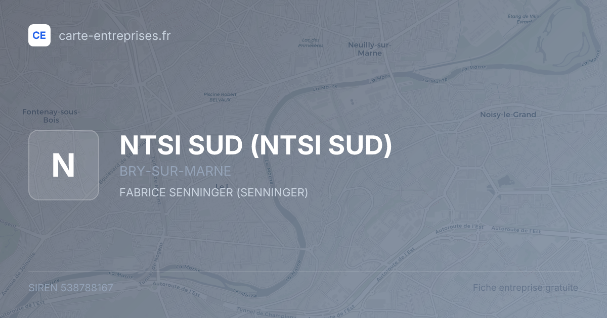 NTSI SUD — 538788167 — fiche entreprise