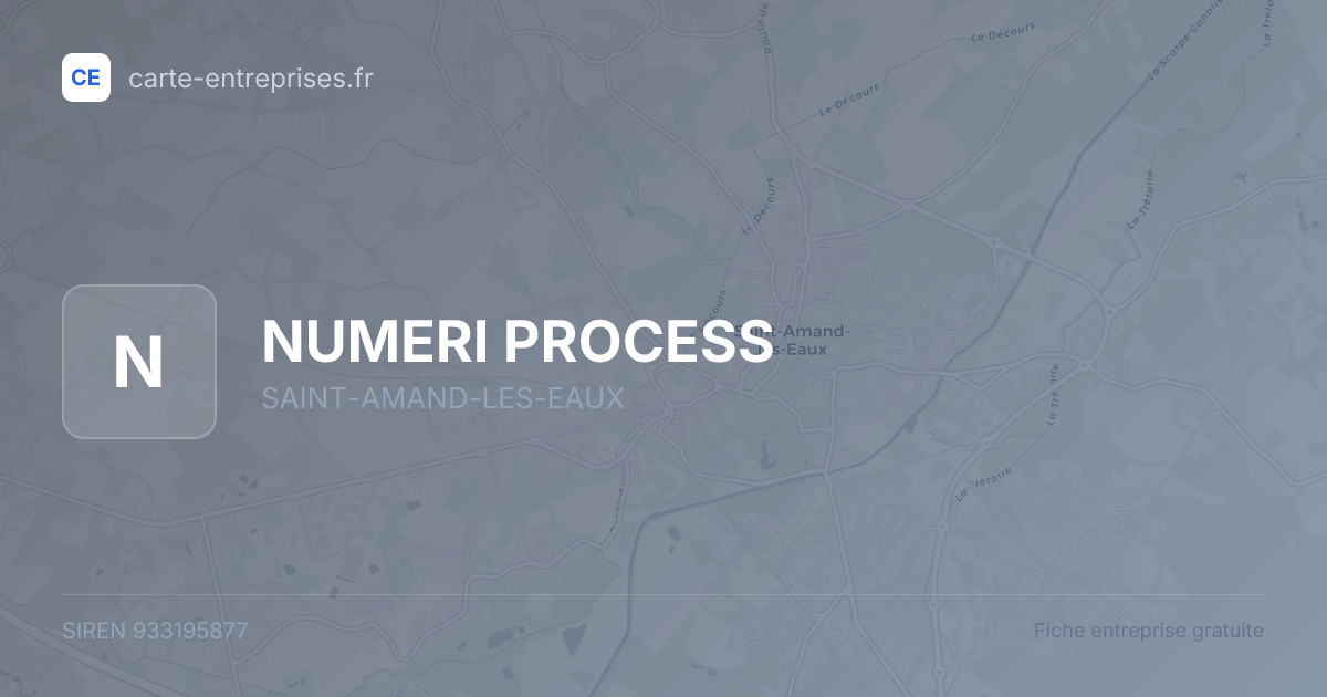 NUMERI PROCESS — 933195877 — fiche entreprise