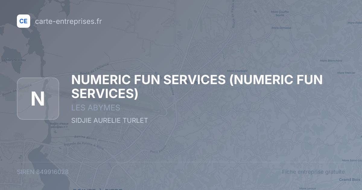 NUMERIC FUN SERVICES — 849916028 — fiche entreprise