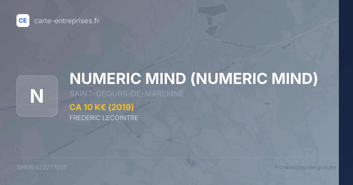 NUMERIC MIND — 822277505 — fiche entreprise