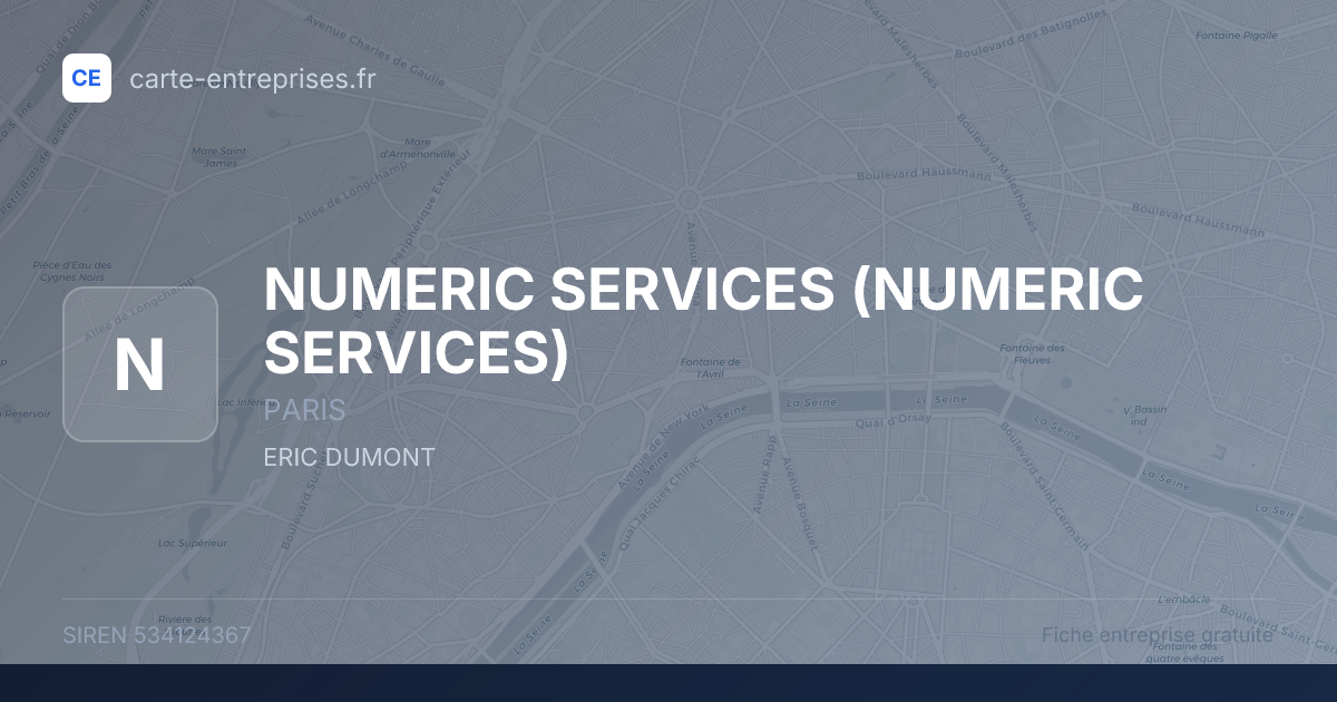 NUMERIC SERVICES — 534124367 — fiche entreprise