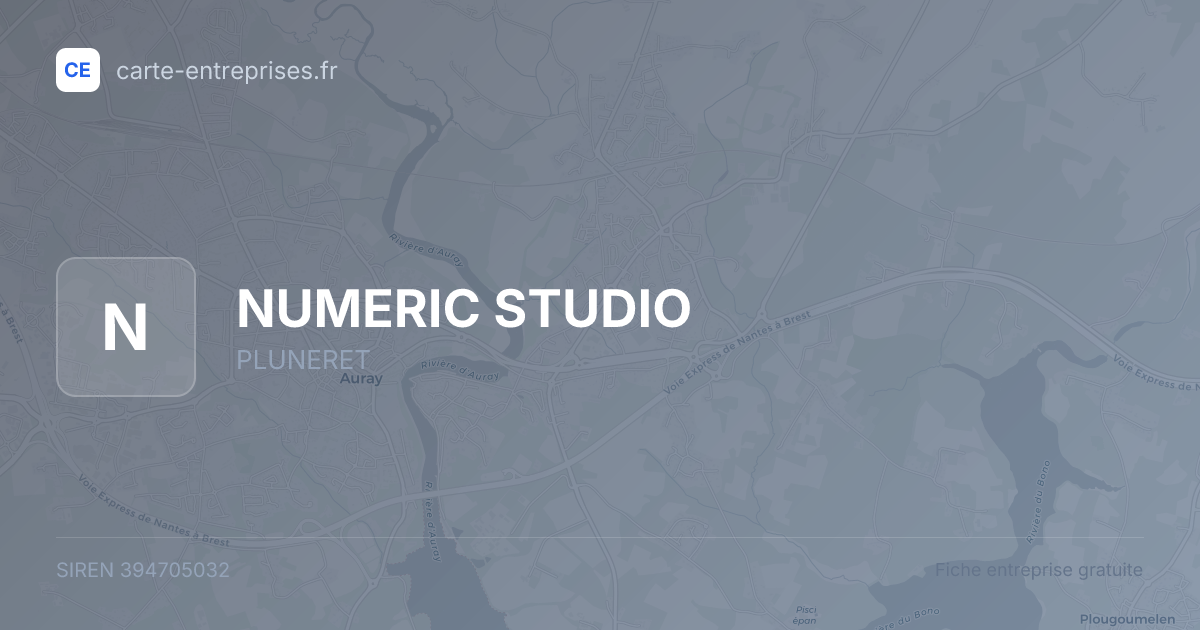 NUMERIC STUDIO — 394705032 — fiche entreprise