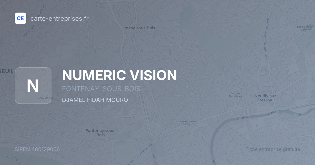 NUMERIC VISION — 480129006 — fiche entreprise