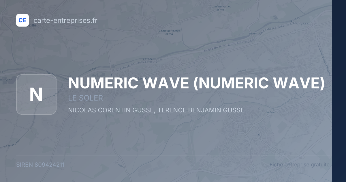 NUMERIC WAVE — 809424211 — fiche entreprise