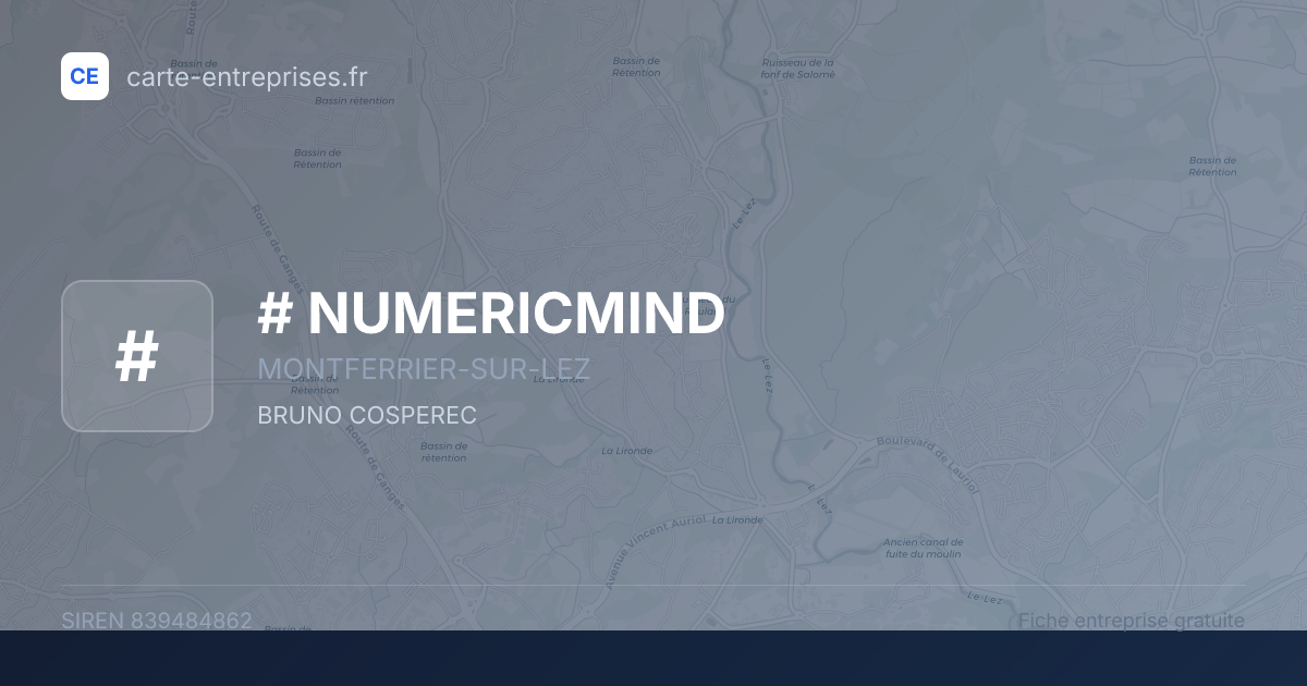 # NUMERICMIND — 839484862 — fiche entreprise