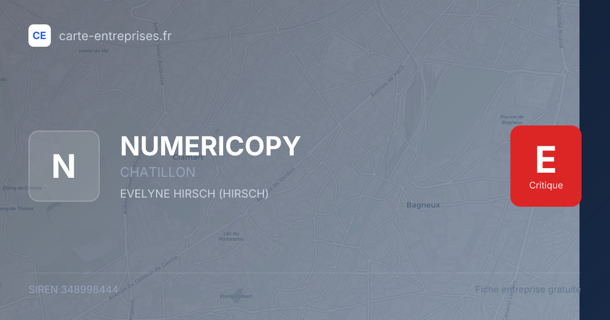 NUMERICOPY — 348998444 — fiche entreprise