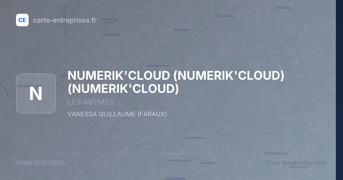 NUMERIK'CLOUD (NUMERIK'CLOUD) (NUMERIK'CLOUD) — 101345593 — fiche entreprise