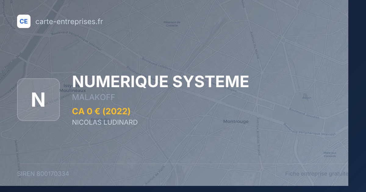 NUMERIQUE SYSTEME — 800170334 — fiche entreprise