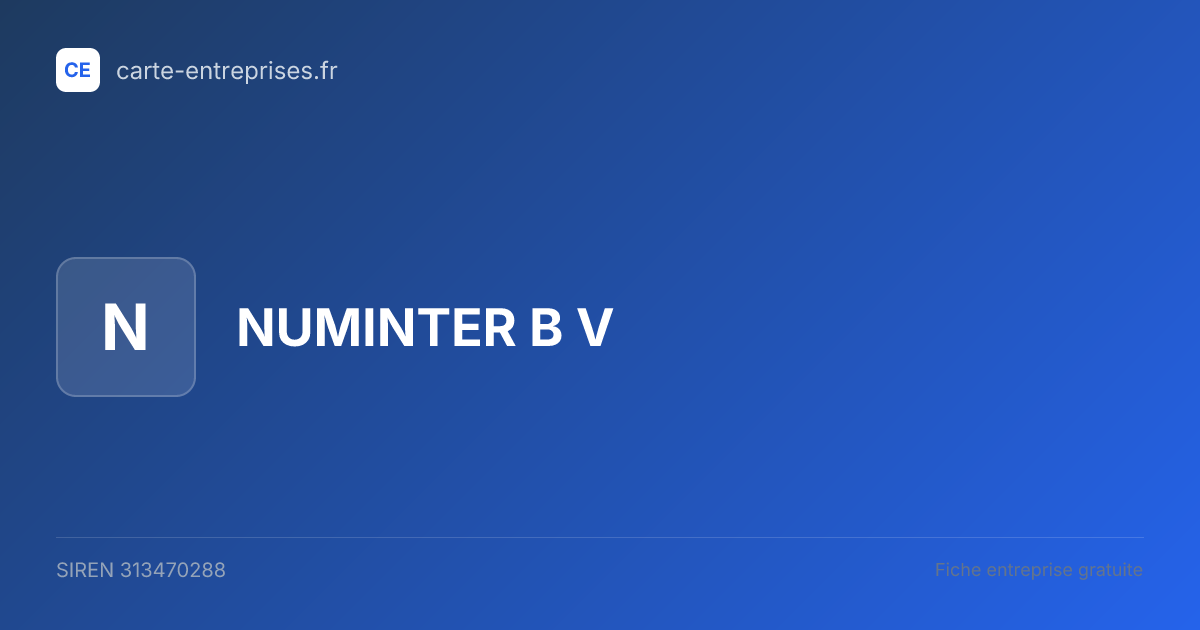 NUMINTER B V — 313470288 — fiche entreprise