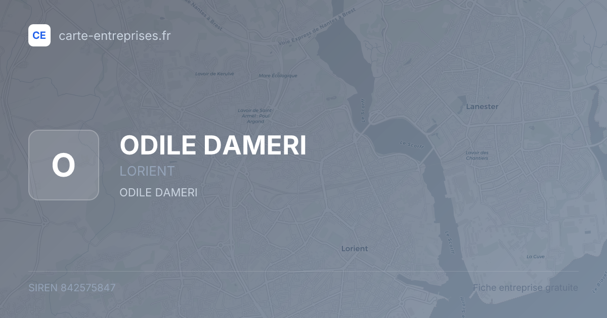 ODILE DAMERI — 842575847 — fiche entreprise