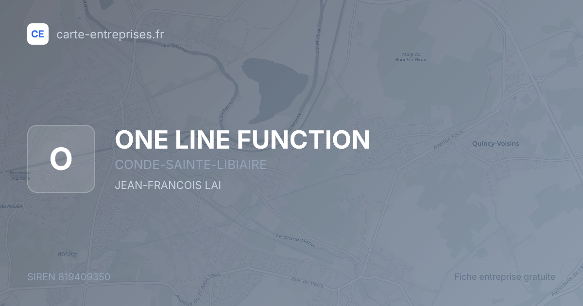 ONE LINE FUNCTION — 819409350 — fiche entreprise
