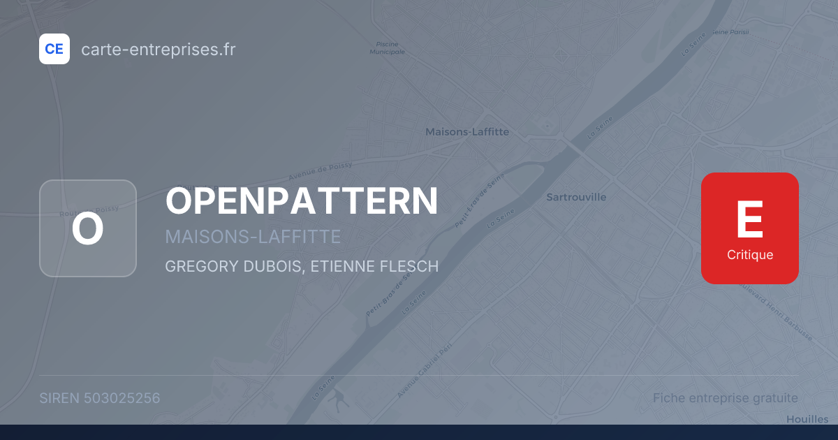 OPENPATTERN — 503025256 — fiche entreprise