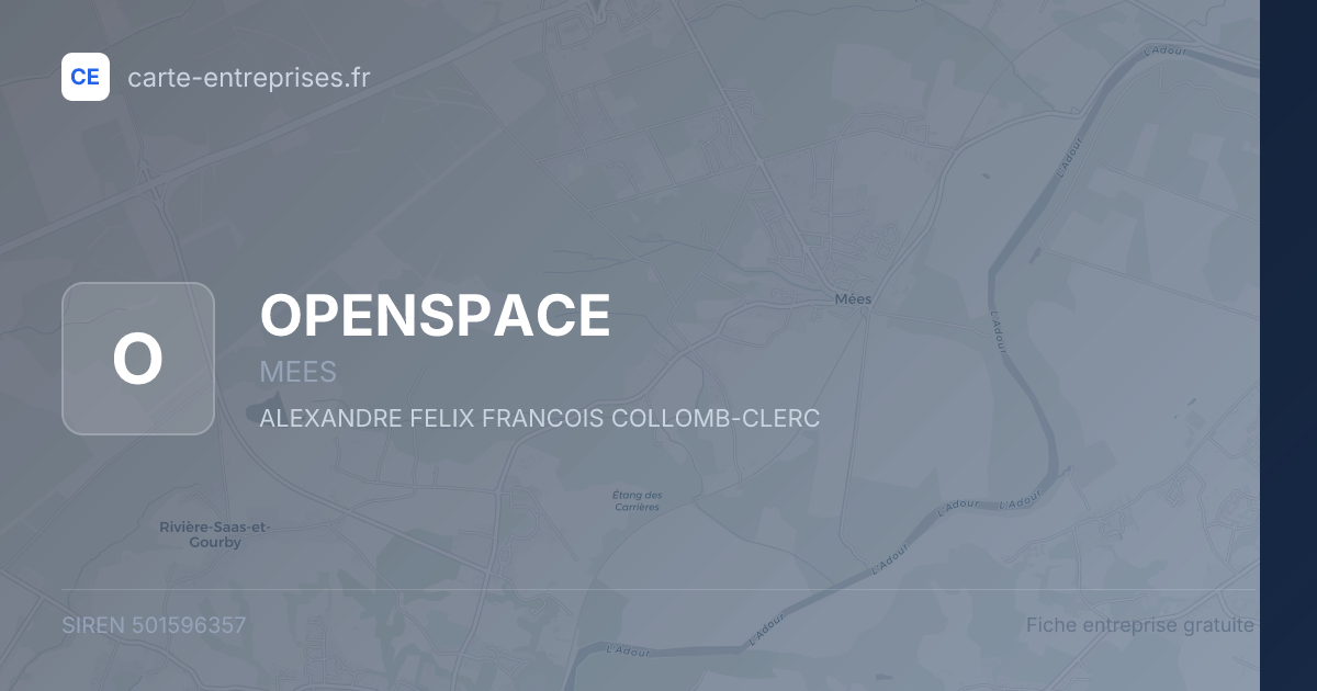 OPENSPACE — 501596357 — fiche entreprise