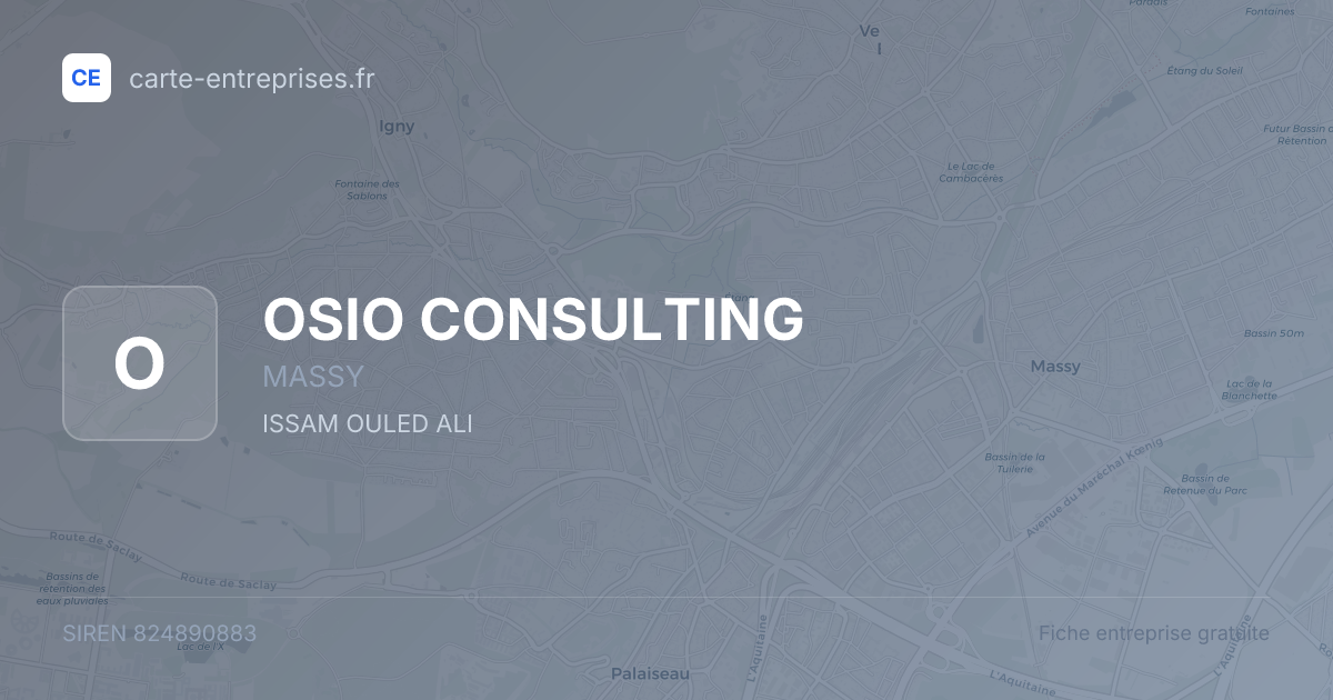 OSIO CONSULTING — 824890883 — fiche entreprise