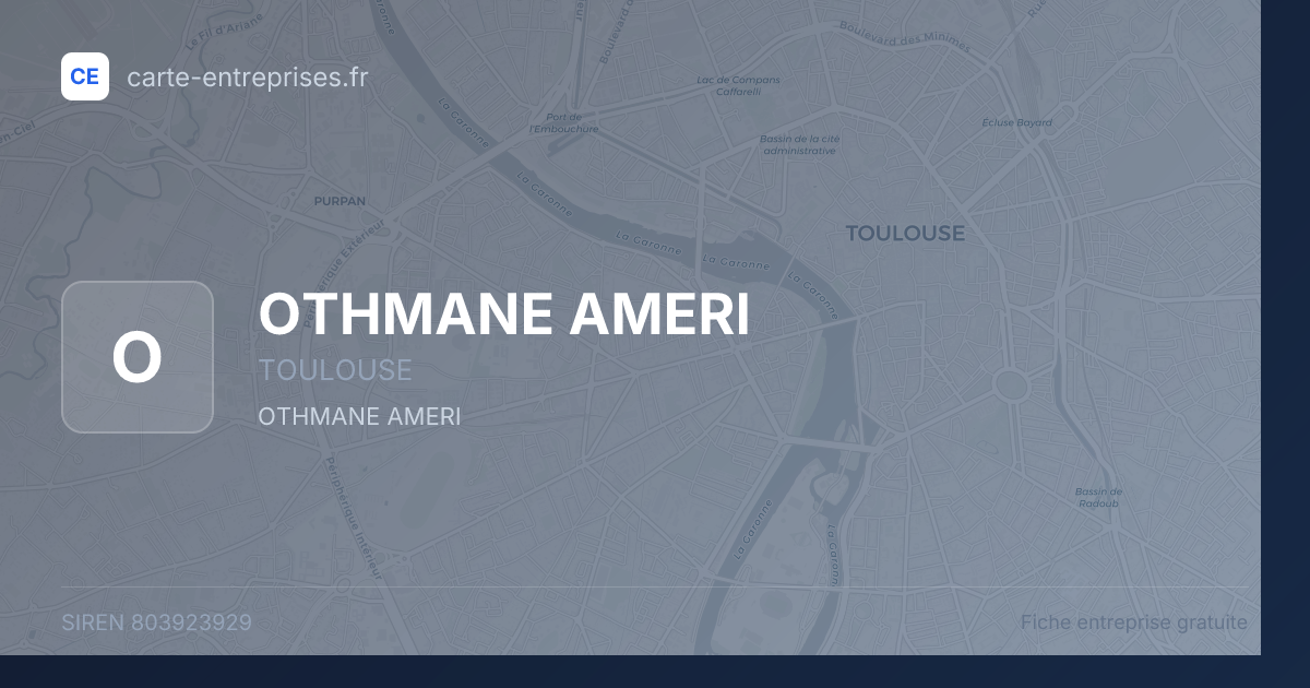 OTHMANE AMERI — 803923929 — fiche entreprise
