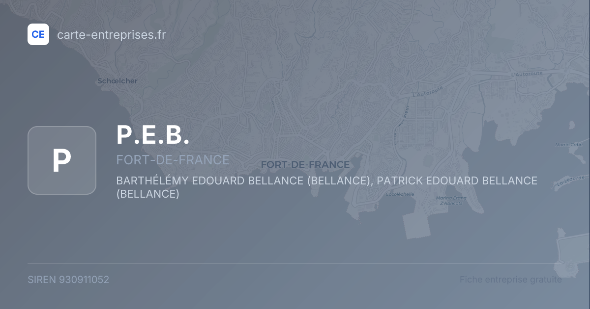 P.E.B. — 930911052 — fiche entreprise