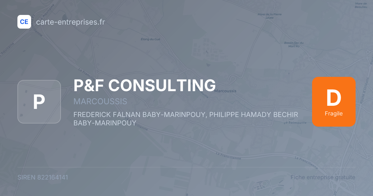 P&F CONSULTING — 822164141 — fiche entreprise