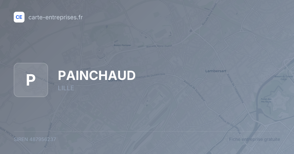 PAINCHAUD — 487956237 — fiche entreprise