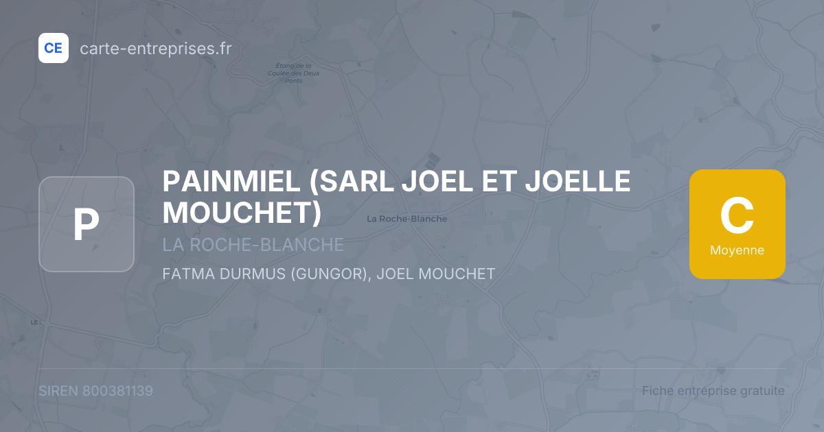 PAINMIEL (SARL JOEL ET JOELLE MOUCHET) — 800381139 — fiche entreprise