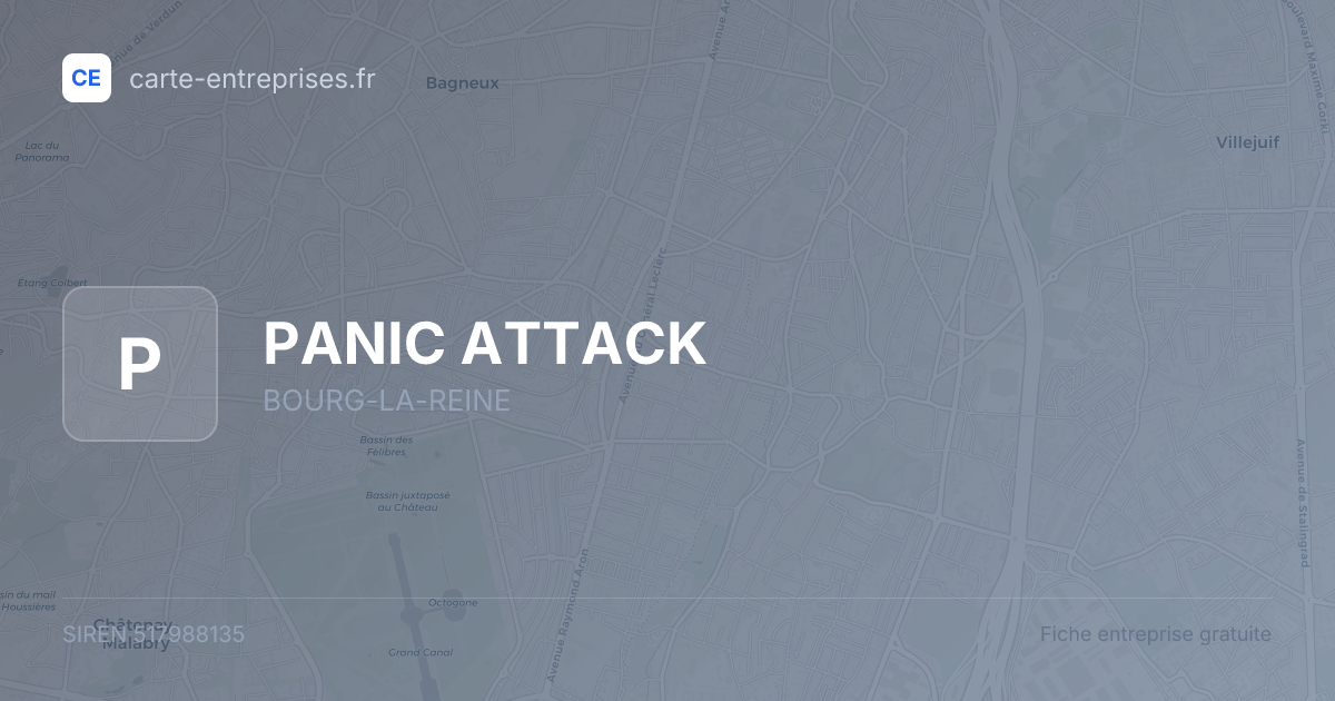 PANIC ATTACK — 517988135 — fiche entreprise