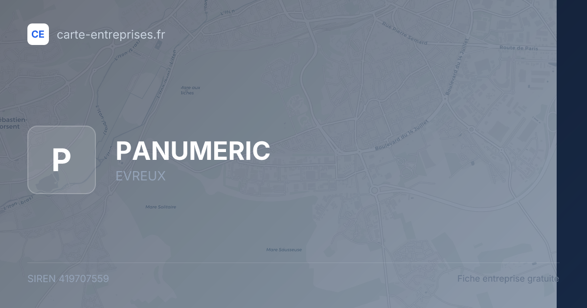 PANUMERIC — 419707559 — fiche entreprise