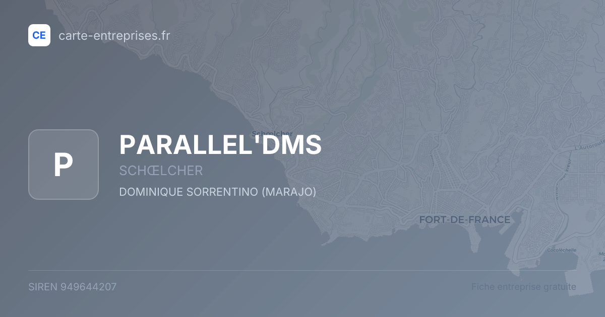 PARALLEL'DMS — 949644207 — fiche entreprise