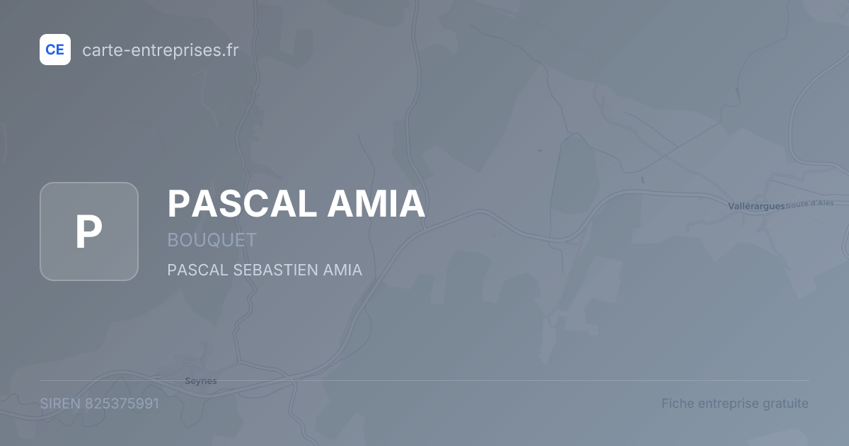 PASCAL AMIA — 825375991 — fiche entreprise
