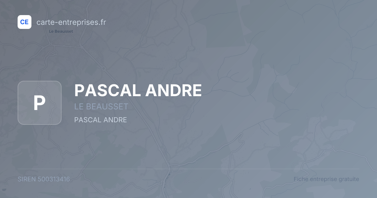 PASCAL ANDRE — 500313416 — fiche entreprise