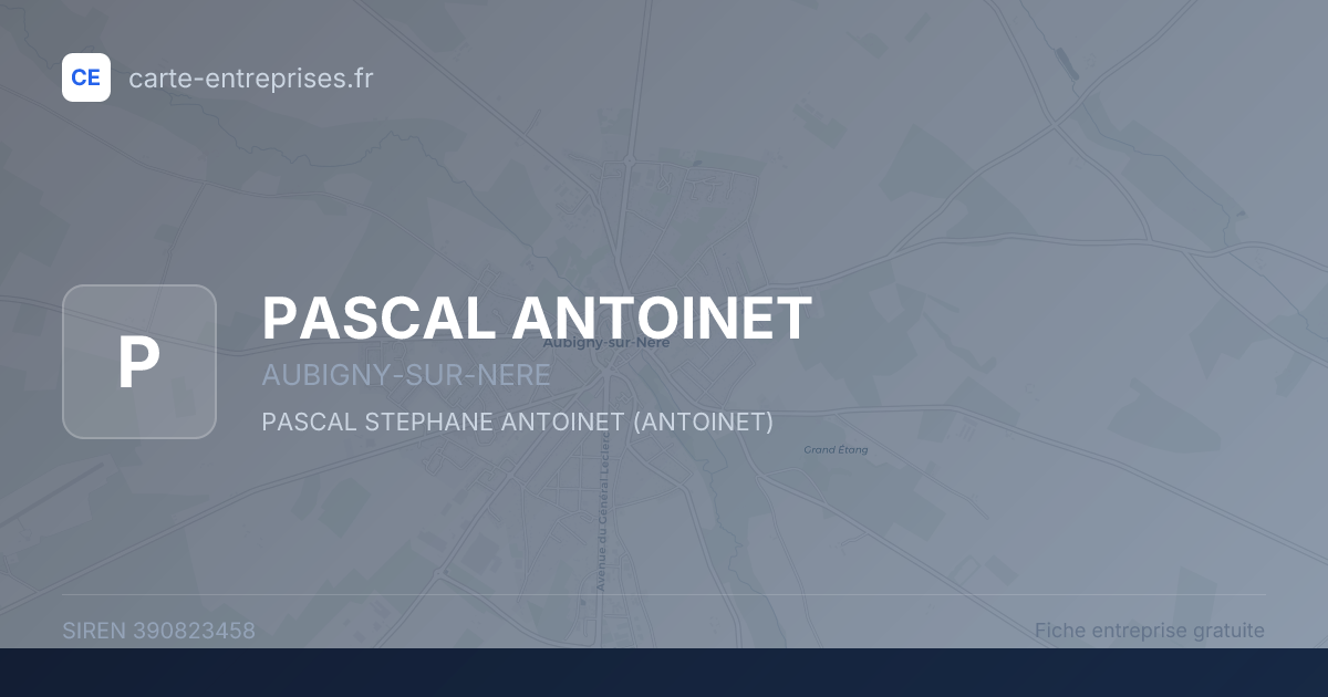 PASCAL ANTOINET — 390823458 — fiche entreprise