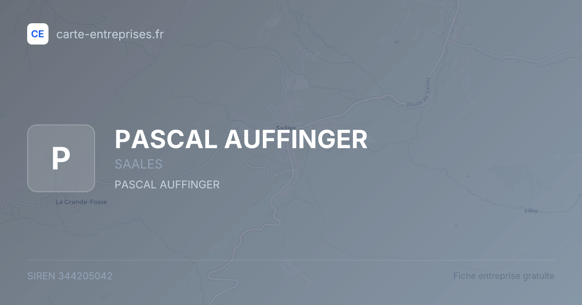 PASCAL AUFFINGER — 344205042 — fiche entreprise