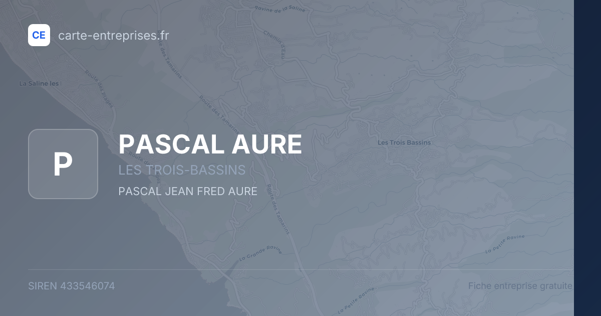 PASCAL AURE — 433546074 — fiche entreprise