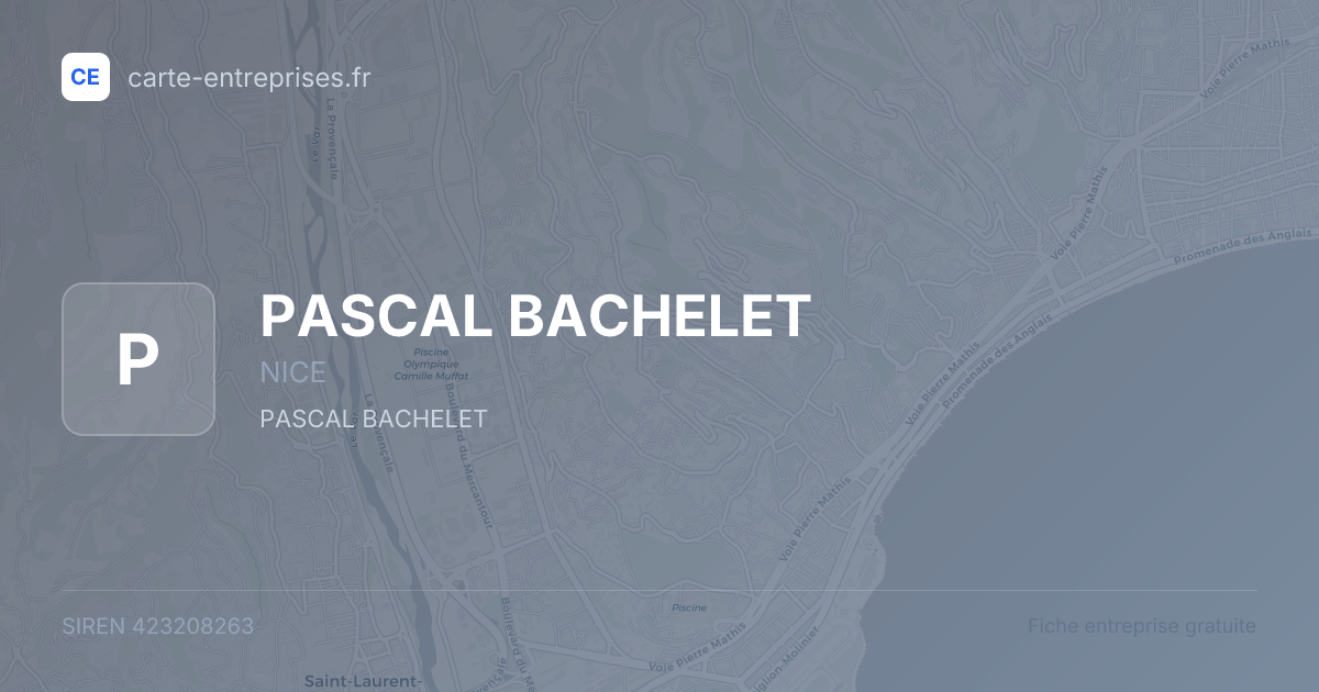 PASCAL BACHELET — 423208263 — fiche entreprise