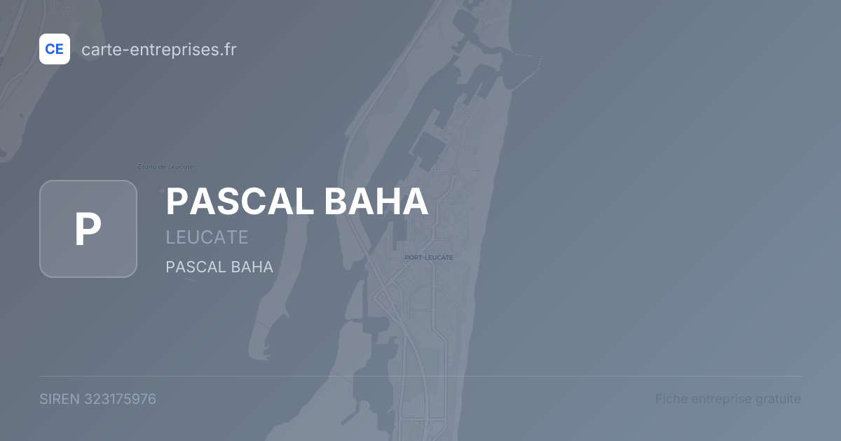 PASCAL BAHA — 323175976 — fiche entreprise