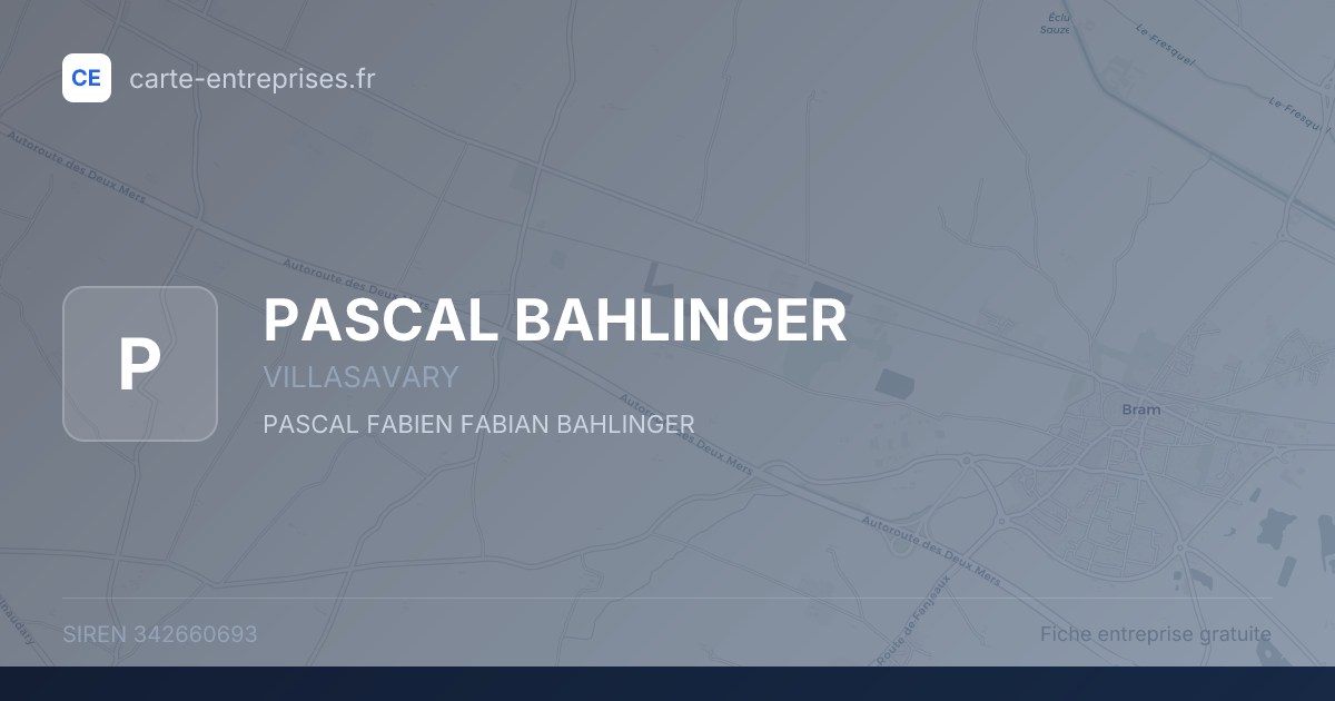 PASCAL BAHLINGER — 342660693 — fiche entreprise