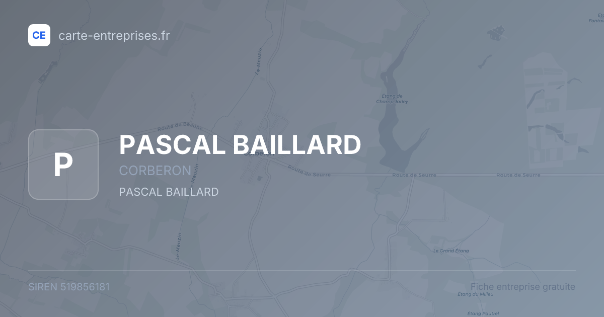 PASCAL BAILLARD — 519856181 — fiche entreprise