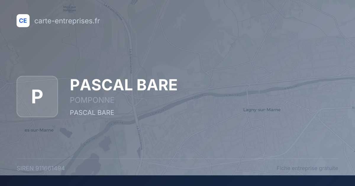 PASCAL BARE — 911661494 — fiche entreprise