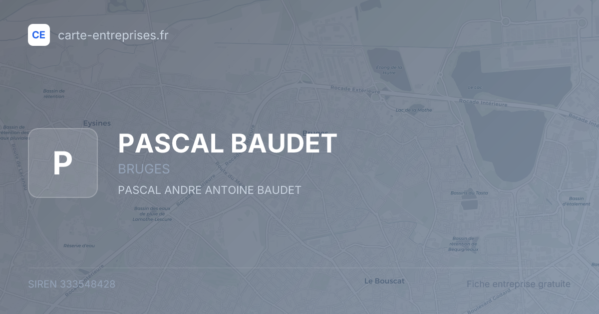 PASCAL BAUDET — 333548428 — fiche entreprise