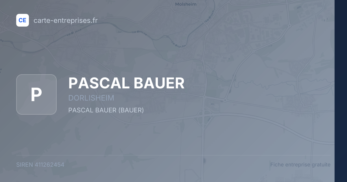 PASCAL BAUER — 411262454 — fiche entreprise