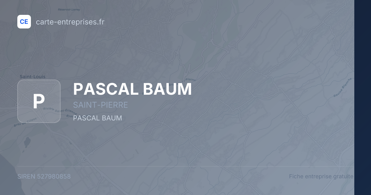 PASCAL BAUM — 527980858 — fiche entreprise