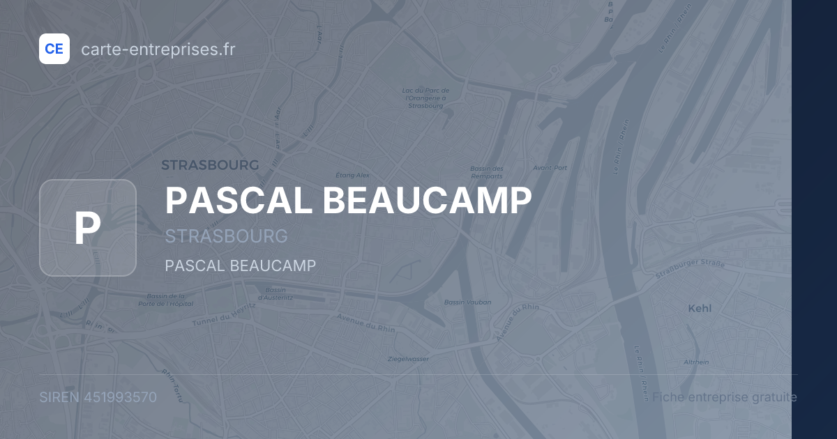 PASCAL BEAUCAMP — 451993570 — fiche entreprise